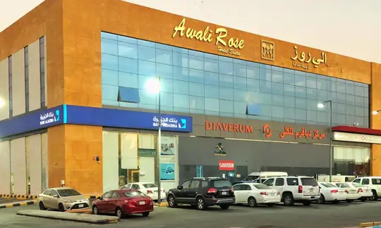 Diaverum Makkah - Al Awali